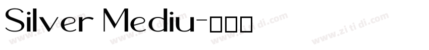 Silver Mediu字体转换